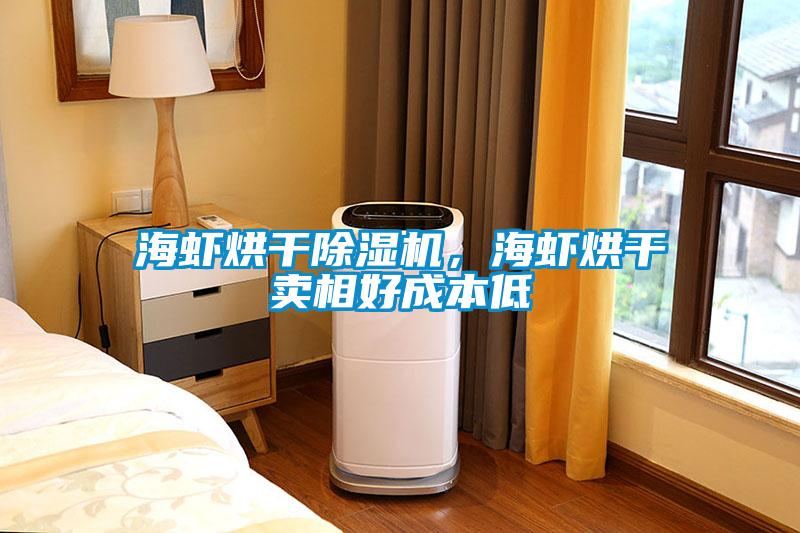 海蝦烘干除濕機(jī)，海蝦烘干賣(mài)相好成本低
