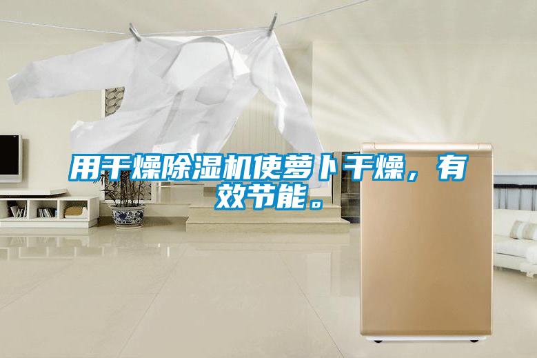 用干燥除濕機使蘿卜干燥，有效節(jié)能。