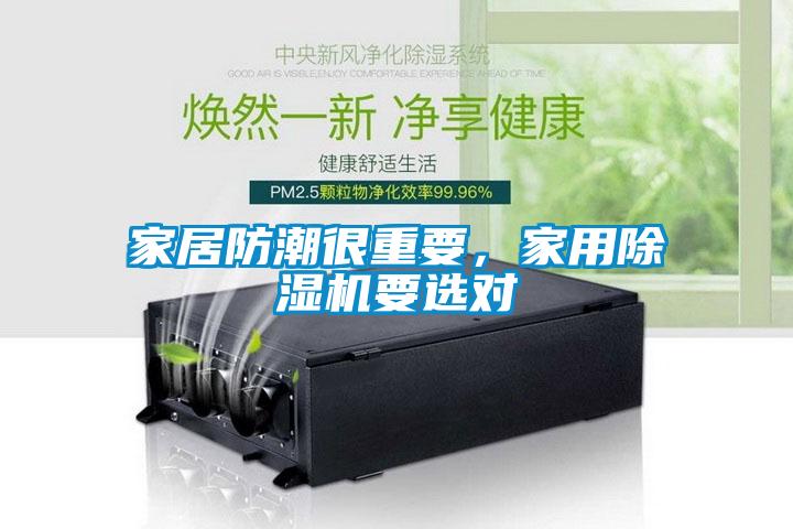 家居防潮很重要，家用除濕機要選對