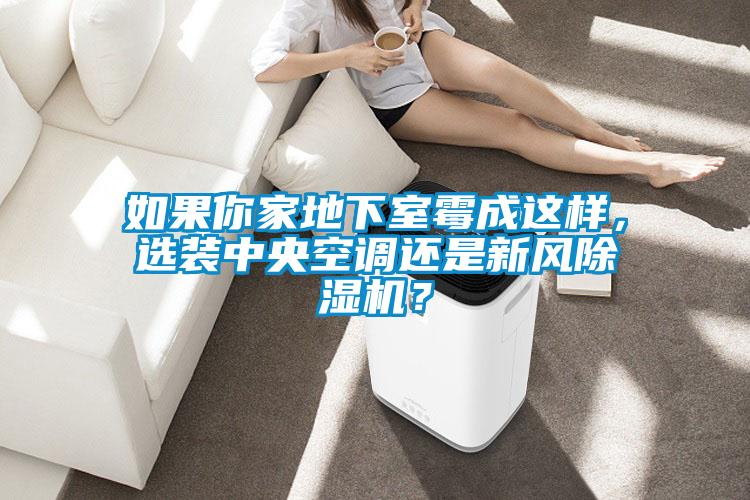 如果你家地下室霉成這樣，選裝中央空調(diào)還是新風(fēng)除濕機(jī)？
