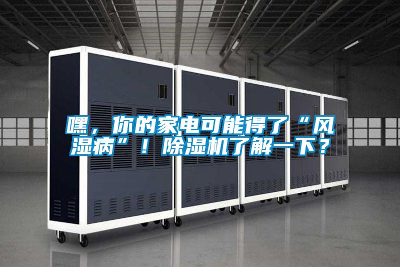 嘿，你的家電可能得了“風(fēng)濕病”！除濕機(jī)了解一下？
