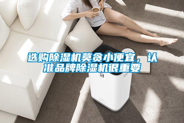 選購除濕機莫貪小便宜，認準品牌除濕機很重要