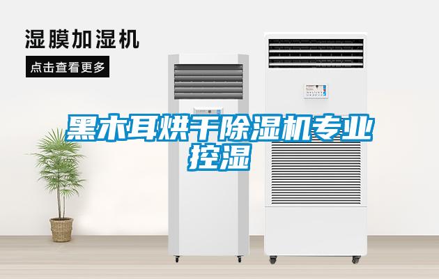 黑木耳烘干除濕機專業(yè)控濕