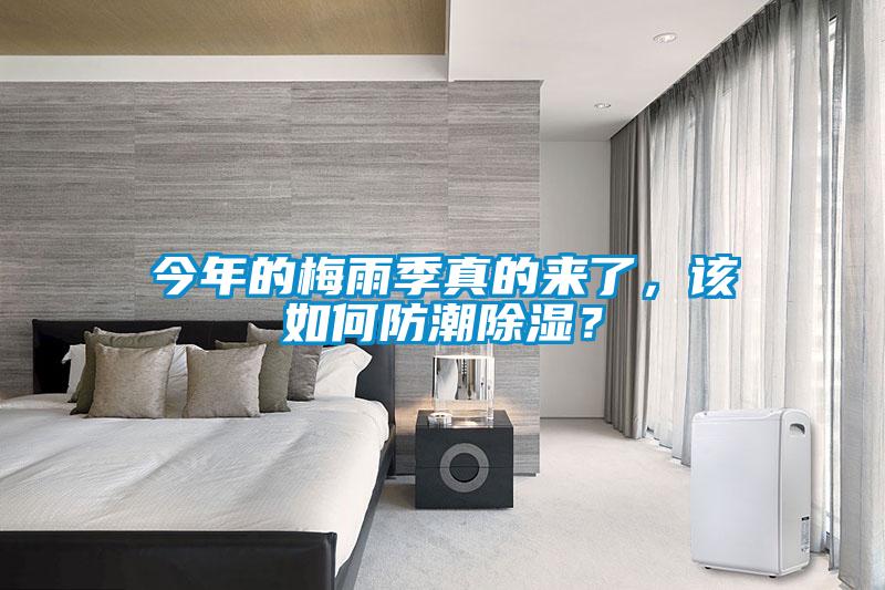 今年的梅雨季真的來了，該如何防潮除濕？