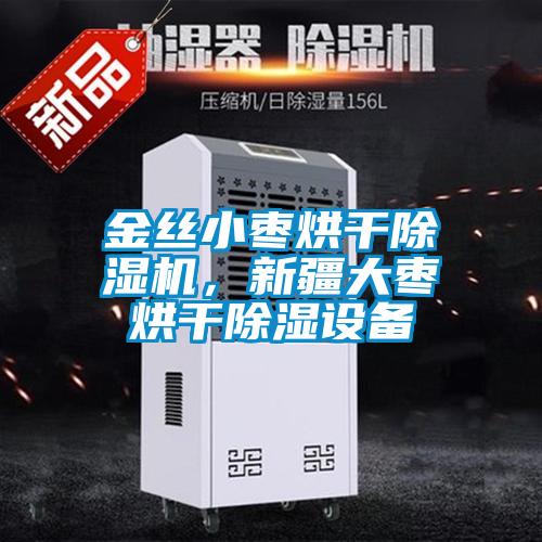 金絲小棗烘干除濕機，新疆大棗烘干除濕設備