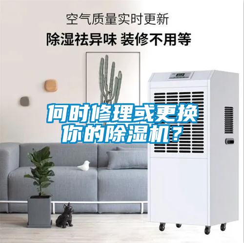 何時修理或更換你的除濕機？