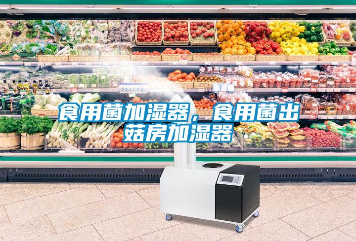 食用菌加濕器，食用菌出菇房加濕器