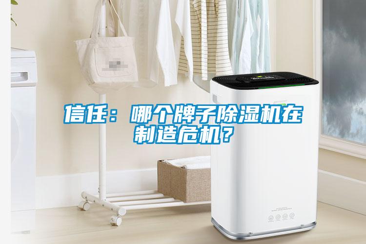 信任：哪個(gè)牌子除濕機(jī)在制造危機(jī)？