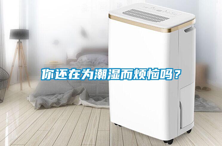 你還在為潮濕而煩惱嗎？