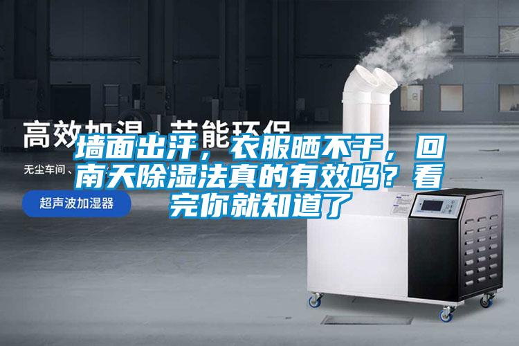 墻面出汗，衣服曬不干，回南天除濕法真的有效嗎？看完你就知道了