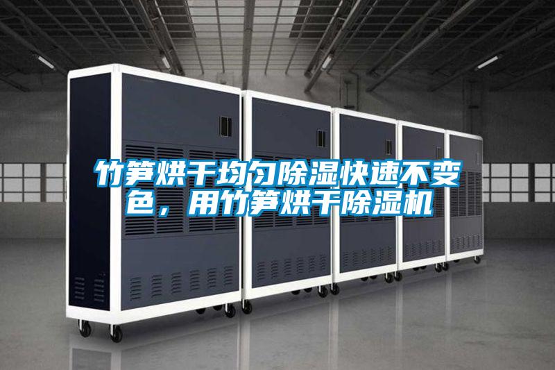 竹筍烘干均勻除濕快速不變色，用竹筍烘干除濕機(jī)