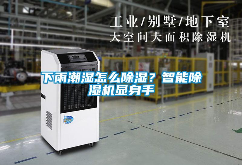 下雨潮濕怎么除濕？智能除濕機(jī)顯身手