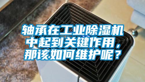 軸承在工業(yè)除濕機中起到關鍵作用，那該如何維護呢？