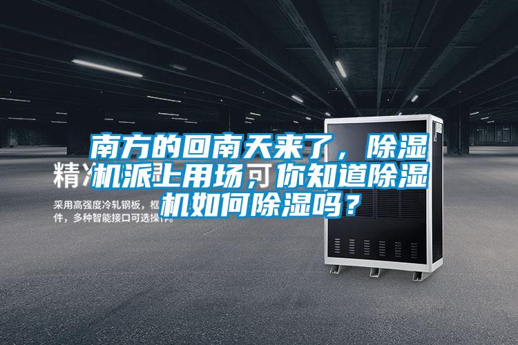 南方的回南天來了，除濕機(jī)派上用場，你知道除濕機(jī)如何除濕嗎？