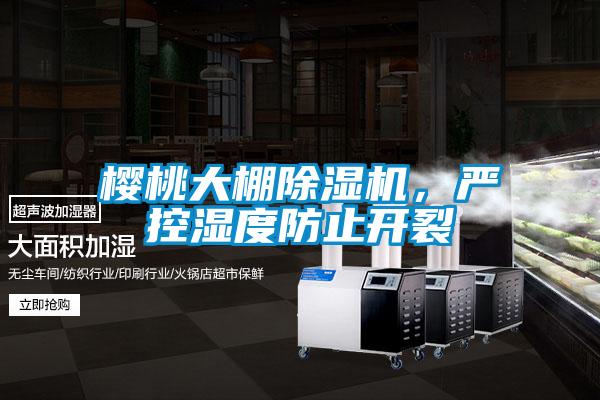 櫻桃大棚除濕機(jī)，嚴(yán)控濕度防止開裂