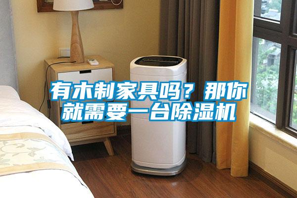 有木制家具嗎？那你就需要一臺(tái)除濕機(jī)