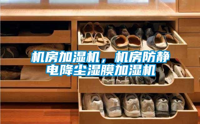 機(jī)房加濕機(jī)，機(jī)房防靜電降塵濕膜加濕機(jī)