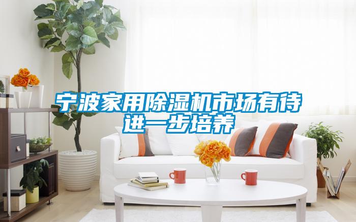 寧波家用除濕機市場有待進一步培養(yǎng)