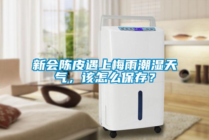 新會陳皮遇上梅雨潮濕天氣，該怎么保存？