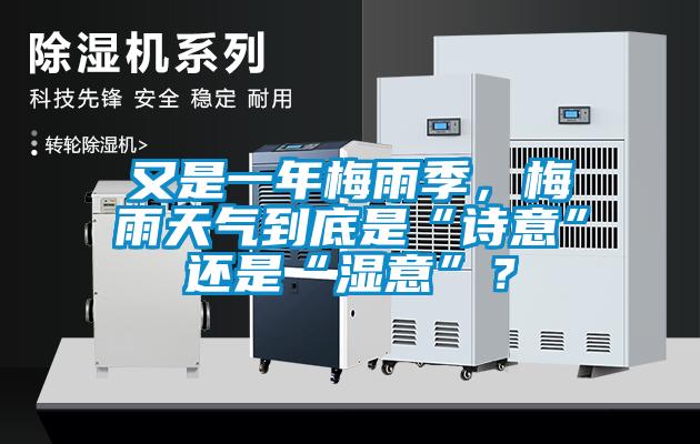 又是一年梅雨季，梅雨天氣到底是“詩意”還是“濕意”？