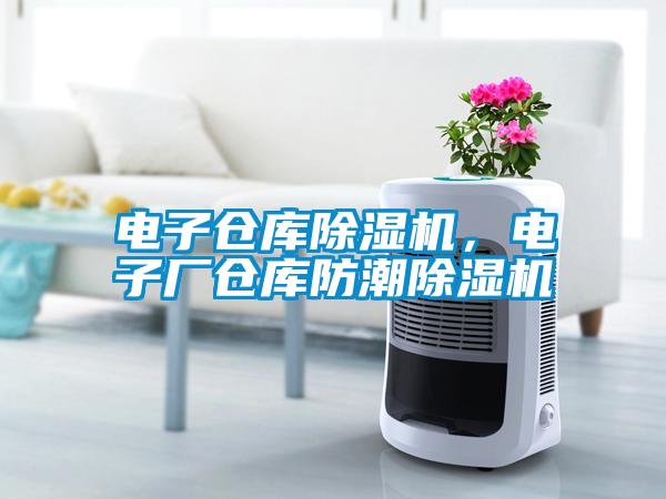 電子倉庫除濕機(jī)，電子廠倉庫防潮除濕機(jī)