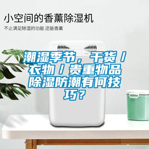 潮濕季節(jié)，干貨／衣物／貴重物品除濕防潮有何技巧？