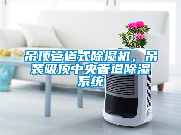 吊頂管道式除濕機(jī)，吊裝吸頂中央管道除濕系統(tǒng)
