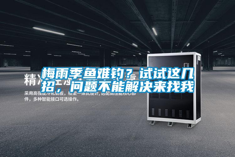 梅雨季魚難釣？試試這幾招，問題不能解決來找我
