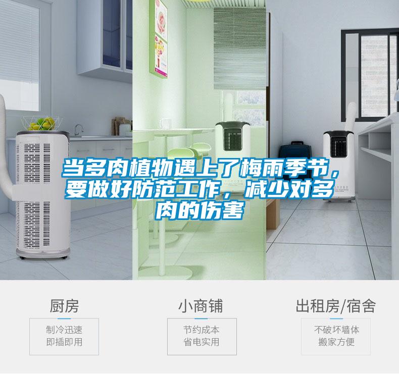 當(dāng)多肉植物遇上了梅雨季節(jié)，要做好防范工作，減少對(duì)多肉的傷害