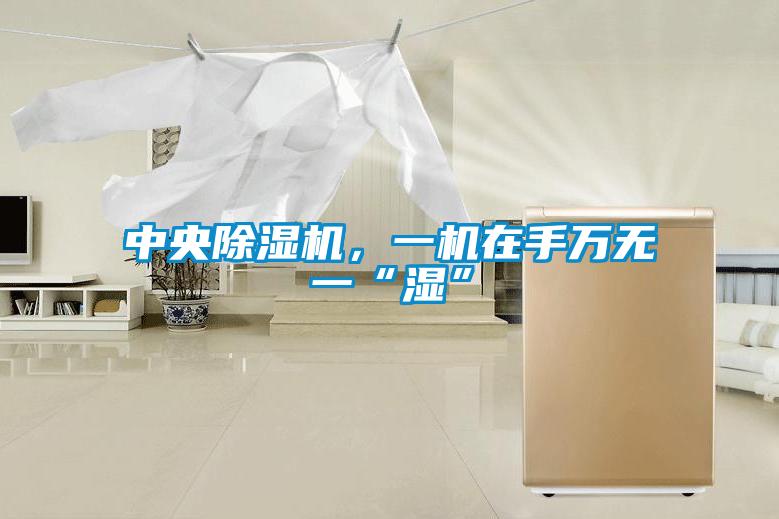 中央除濕機(jī)，一機(jī)在手萬(wàn)無(wú)一“濕”