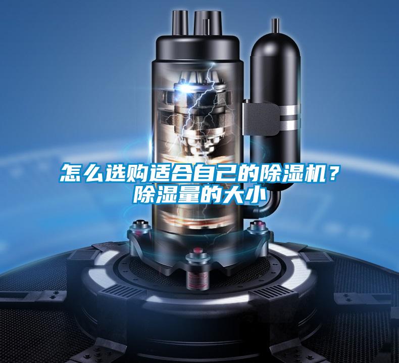 怎么選購(gòu)適合自己的除濕機(jī)？除濕量的大小