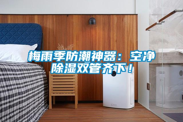 梅雨季防潮神器：空凈除濕雙管齊下！