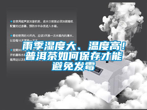 雨季濕度大、溫度高！普洱茶如何保存才能避免發(fā)霉