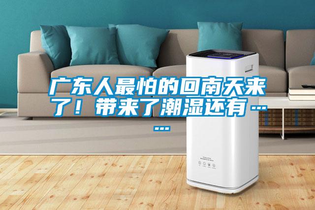 廣東人最怕的回南天來(lái)了！帶來(lái)了潮濕還有……
