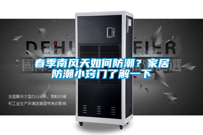 春季南風(fēng)天如何防潮？家居防潮小竅門了解一下