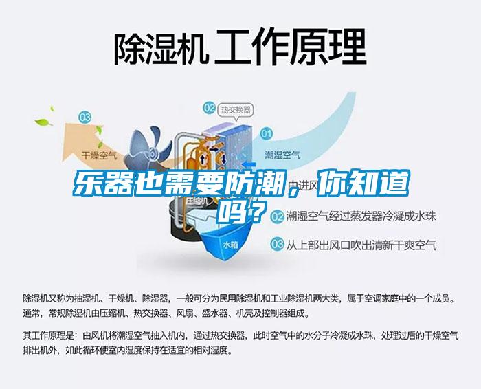樂器也需要防潮，你知道嗎？