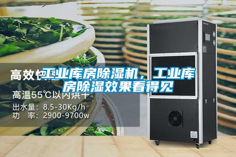工業(yè)庫房除濕機(jī)，工業(yè)庫房除濕效果看得見
