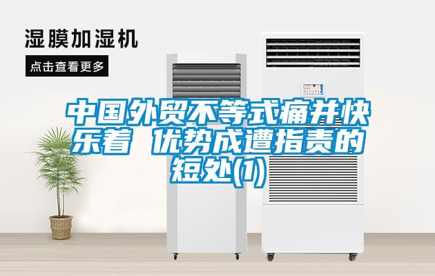 中國(guó)外貿(mào)不等式痛并快樂著 優(yōu)勢(shì)成遭指責(zé)的短處(1)