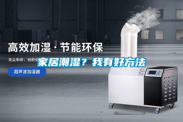家居潮濕？我有好方法