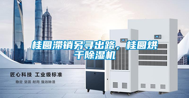 桂圓滯銷另尋出路，桂圓烘干除濕機