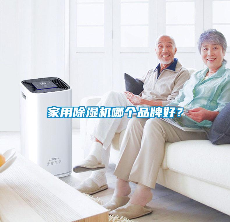 家用除濕機哪個品牌好？