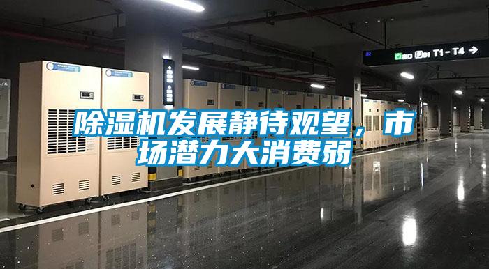 除濕機發(fā)展靜待觀望，市場潛力大消費弱