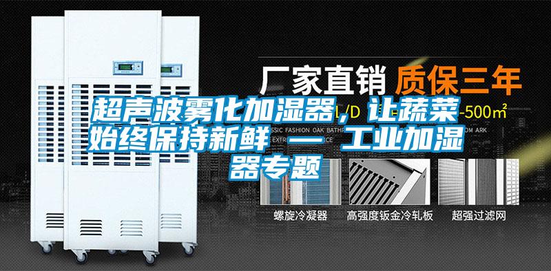 超聲波霧化加濕器，讓蔬菜始終保持新鮮 — 工業(yè)加濕器專題