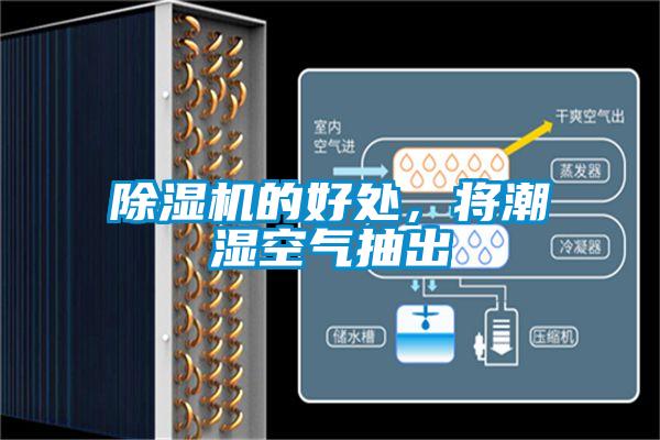 除濕機(jī)的好處，將潮濕空氣抽出