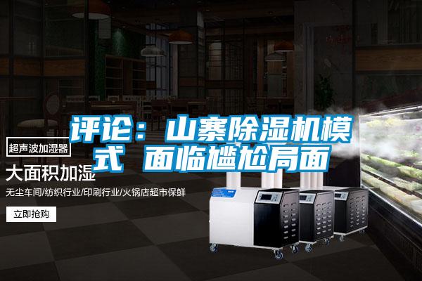 評論：山寨除濕機(jī)模式 面臨尷尬局面