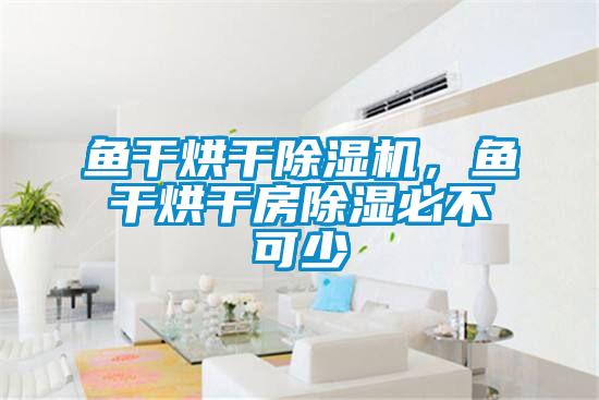 魚干烘干除濕機(jī)，魚干烘干房除濕必不可少