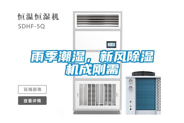 雨季潮濕，新風除濕機成剛需