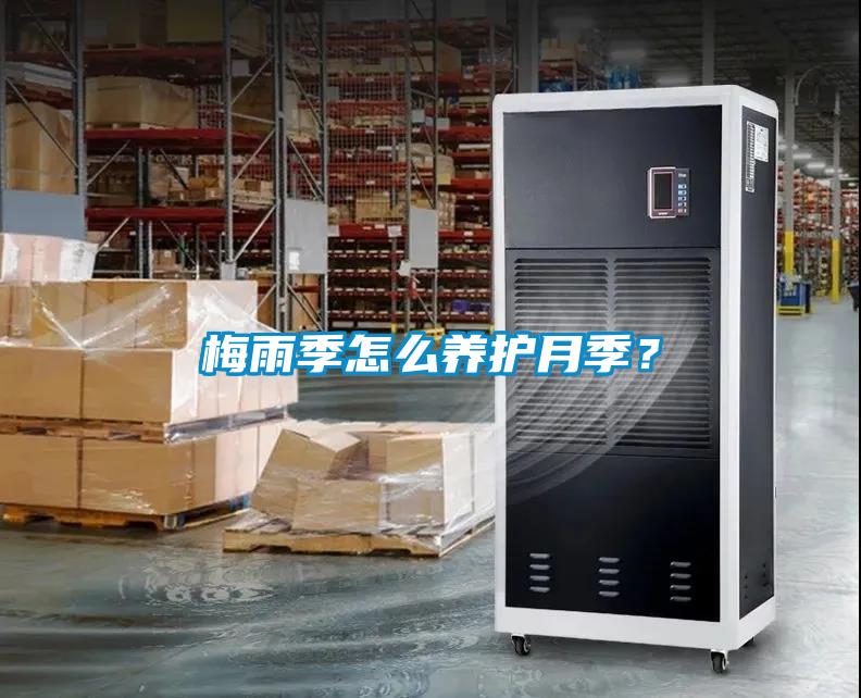梅雨季怎么養(yǎng)護(hù)月季？