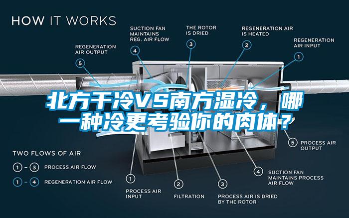 北方干冷VS南方濕冷，哪一種冷更考驗(yàn)?zāi)愕娜怏w？