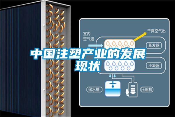 中國(guó)注塑產(chǎn)業(yè)的發(fā)展現(xiàn)狀